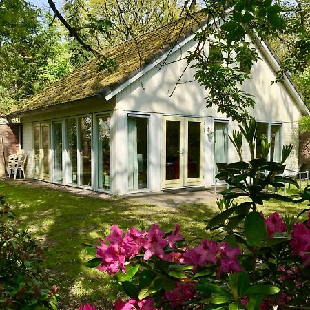 Vila Vakantiewoning Tjiftjaf In "Het Fonteinbos" Oudemirdum Exteriér fotografie